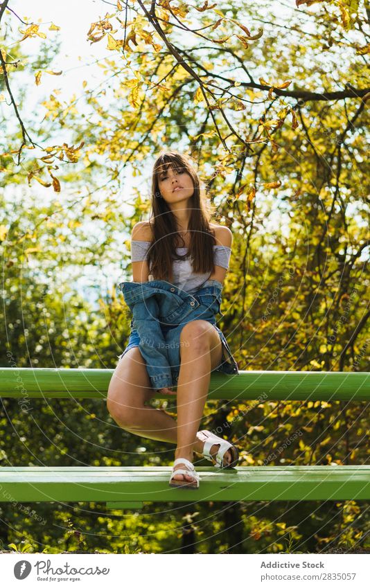 Frau auf der Bank am Herbstbaum Park sitzen genießen Lifestyle Jugendliche Natur schön Porträt Mädchen Mensch Beautyfotografie Wärme Freizeit & Hobby hübsch