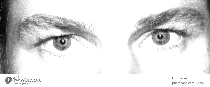 eyecatcher Schwarzweißfoto Nahaufnahme Makroaufnahme Starke Tiefenschärfe Zentralperspektive Blick Blick in die Kamera Lifestyle Stil Design Haut Gesicht