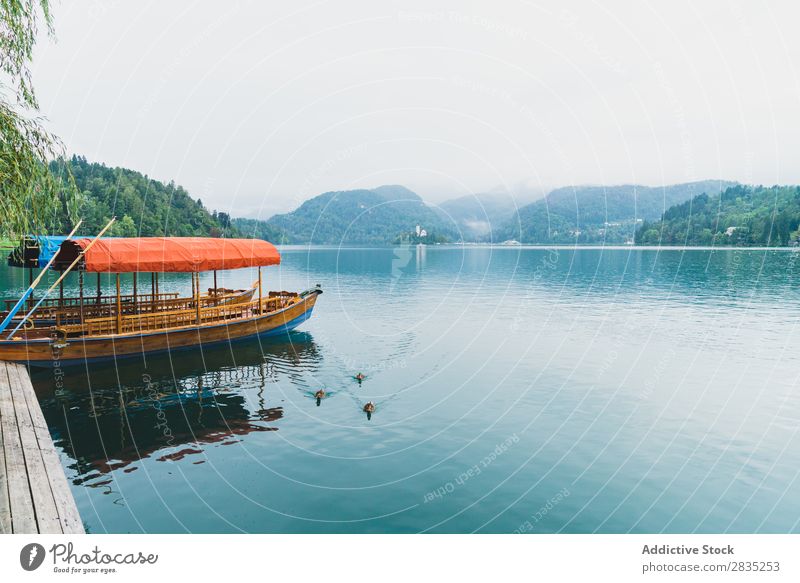 Kai und Boote auf dem See Wasserfahrzeug Gefäße fliegend Anlegestelle Paddel Berge u. Gebirge Küste Aussicht Natur Landschaft Sommer blau grün schön Szene