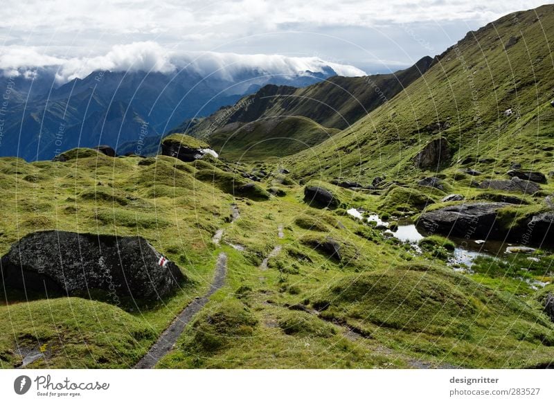 Der Hirte wandern Wolken Sommer Schönes Wetter Gras Wiese Felsen Alpen Berge u. Gebirge Gana Negra Gipfel Schweiz Kanton Tessin Europa laufen groß Unendlichkeit