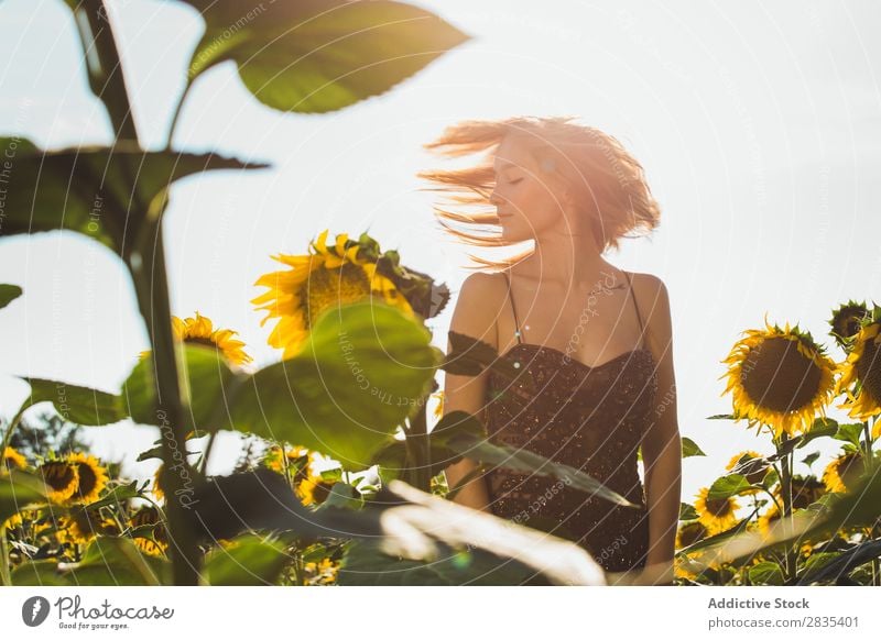 Hübsche junge Frau in Sonnenblumen. hübsch Feld Kleid Jugendliche Natur schön Sommer Fröhlichkeit gelb Porträt heiter Beautyfotografie Landschaft Lächeln Blume