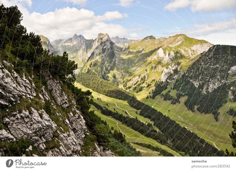 Alpstein Natur Landschaft Urelemente Hügel Felsen Alpen Berge u. Gebirge Gipfel Schneebedeckte Gipfel Stein gigantisch groß hoch Abenteuer Zufriedenheit