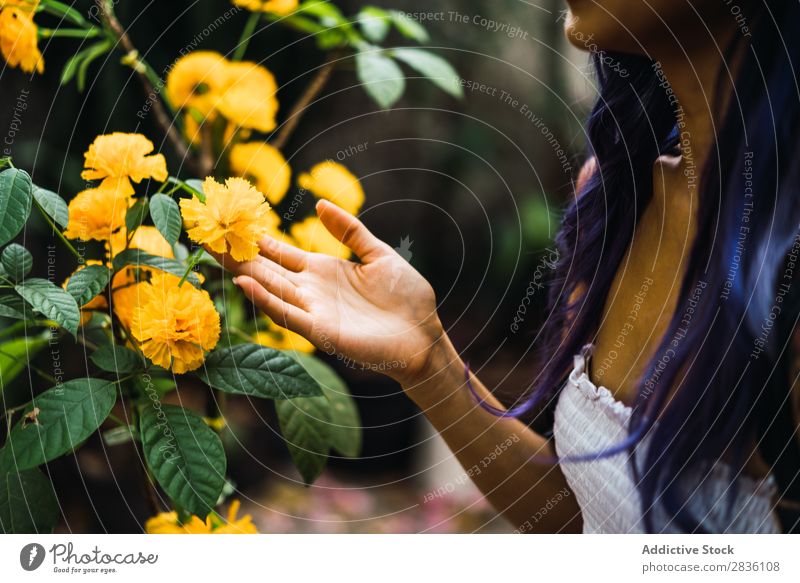 Getreidefrau berührt gelbe Blume Frau hübsch Jugendliche schön Porträt Park Behaarung purpur Mode attraktiv Großstadt Mensch Lifestyle Beautyfotografie Model