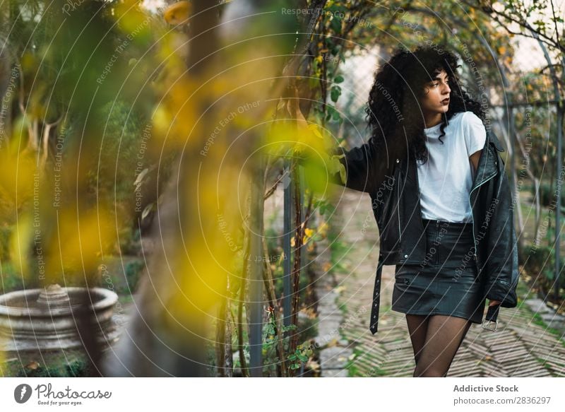 Junge lockige Frau im Park attraktiv Großstadt modisch brünett Herbst Blatt Jacke Mode Jugendliche schön hübsch Straße Model Stil Behaarung Beautyfotografie