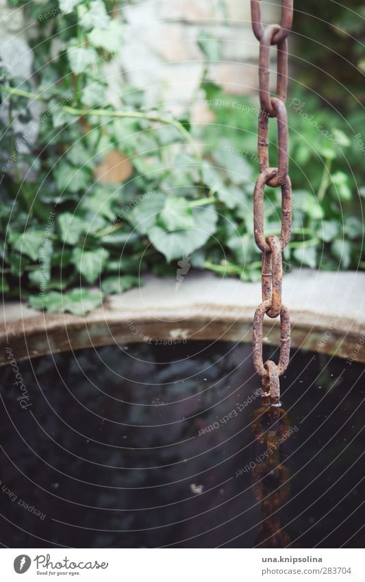 in den brunnen gefallen Umwelt Wasser Pflanze Efeu Brunnen Kette Stein Metall hängen nass natürlich Reflexion & Spiegelung untergehen Farbfoto Außenaufnahme