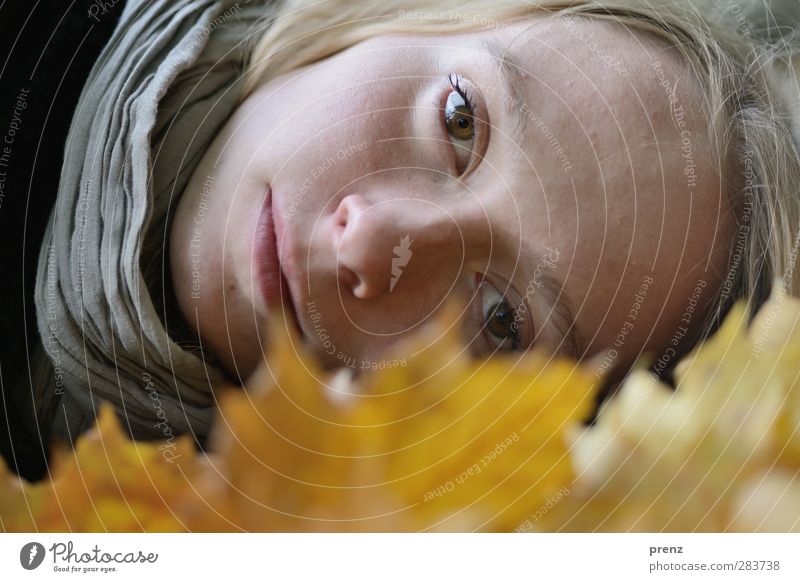 Herbstportrait 1 feminin Junge Frau Jugendliche Erwachsene Mensch 18-30 Jahre Pflanze Blatt gelb grau liegen Kopf natürlich Farbfoto Außenaufnahme