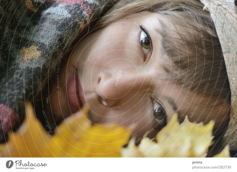 Herbstportrait 2 Mensch feminin Junge Frau Jugendliche Erwachsene Kopf 1 18-30 Jahre Pflanze Blatt gelb grau natürlich Porträt Farbfoto Außenaufnahme