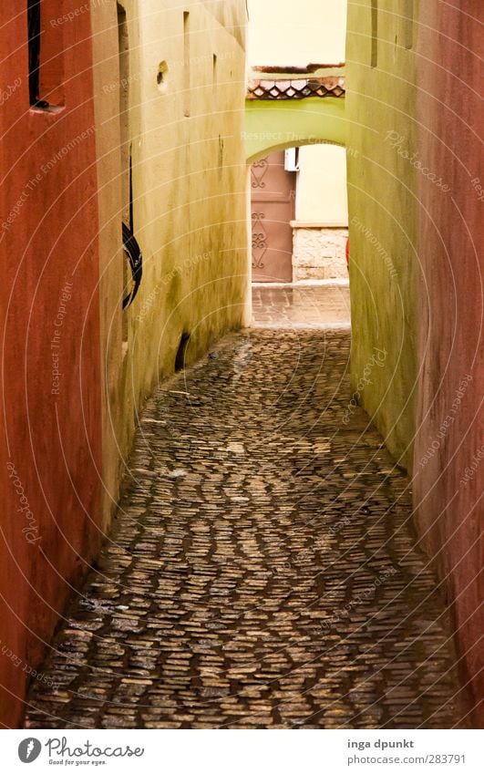 Noch ein kurzes Stück Siebenbürgen brasov Rumänien Europa Stadtrand Altstadt Menschenleer Mauer Wand Wege & Pfade Gasse Straße Fußweg Kopfsteinpflaster
