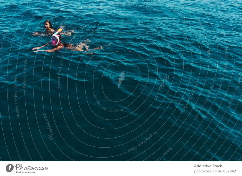 Menschen, die im tropischen Meer schwimmen. Frau Schwimmsport sportlich Vergnügen Freiheit Zusammensein Aktion Landschaft Freundschaft fliegend Tourismus