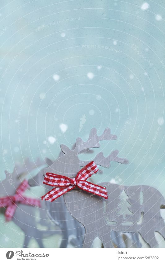 the Rudolphs Wohnung Dekoration & Verzierung Feste & Feiern Weihnachten & Advent Winter Eis Frost Schnee Schneefall Herde Schleife Kitsch Krimskrams Metall