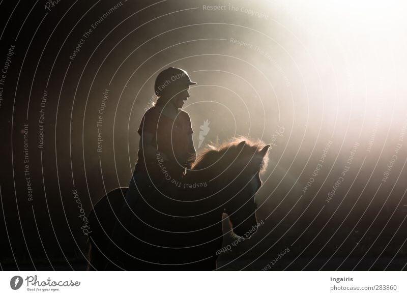 Das Glück der Erde...... Reiten Reitsport Reiter Mensch Frau Erwachsene Körper Oberkörper 1 Nebel Staub Tier Nutztier Pferd Island Ponys Bewegung lachen Sport