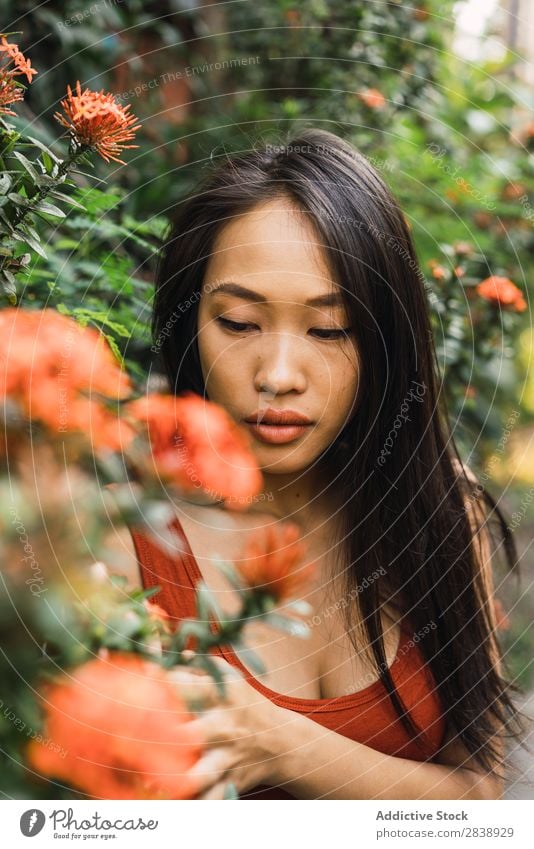 Sinnliche Frau steht am blühenden Busch. hübsch asiatisch Jugendliche Sträucher Blume Orange Straße Stadt schön Porträt attraktiv Beautyfotografie Mensch