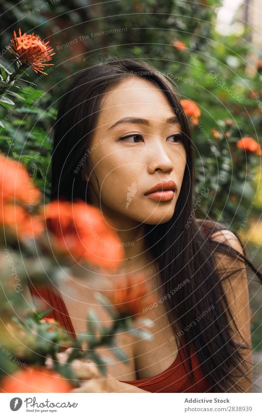 Sinnliche Frau steht am blühenden Busch. hübsch asiatisch Jugendliche Sträucher Blume Orange Straße Stadt schön Porträt attraktiv Beautyfotografie Mensch