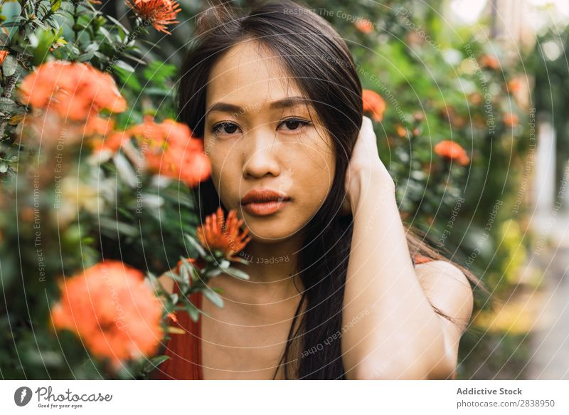 Sinnliche Frau steht am blühenden Busch. hübsch asiatisch Jugendliche Sträucher Blume Orange Straße Stadt Blick in die Kamera Haltehaar schön Porträt attraktiv