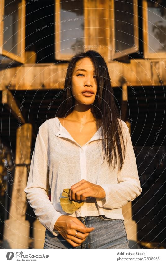 Hübsche Frau, die in der Nähe des Hauses posiert. hübsch asiatisch Jugendliche Behaarung brünett Freude Holz Sonnenstrahlen schön Porträt attraktiv
