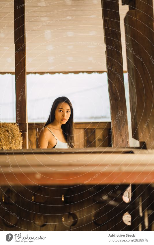 Asiatin in der Scheune Frau asiatisch Jugendliche hübsch Stall Heu Blick in die Kamera Bauernhof ländlich Landschaft schön Porträt attraktiv Beautyfotografie