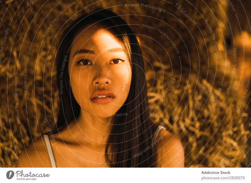 Asiatin posiert im Sonnenlicht Frau hübsch asiatisch Jugendliche heiter Glück Freude brünett schön Porträt attraktiv Beautyfotografie Mensch niedlich Dame