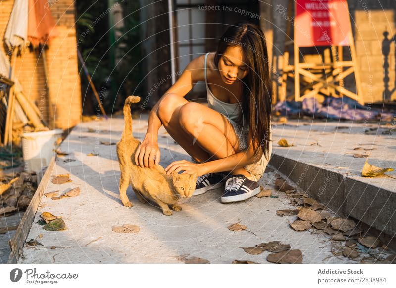 Asiatin spielt mit Katze niedlich Straße Haustier Tier Katzenbaby Pelzmantel schön Irrläufer pelzig wild reizvoll flockig Kopf hübsch aussruhen Säugetier sitzen