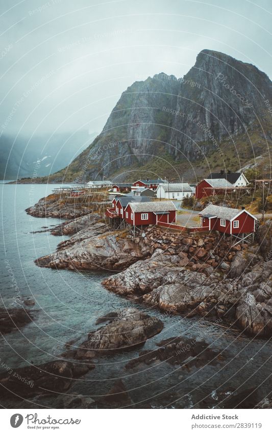 Dorf auf Inselfelsen Felsen Küste Landschaft Hamnoya Insel Noruega abgelegen Ausflugsziel wohnbedingt Klippe Natur Tourismus Haus Wohnsiedlung Wunderland