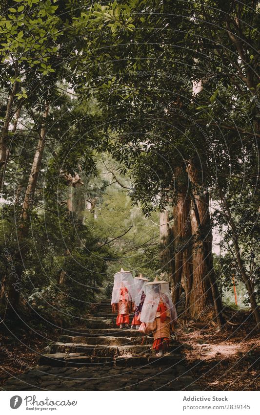 Mönche beim Spazierengehen im Wald Orient Religion & Glaube Kultur Park Spiritualität Gottesdienst exotisch Gebete Tourismus Bekleidung anhaben