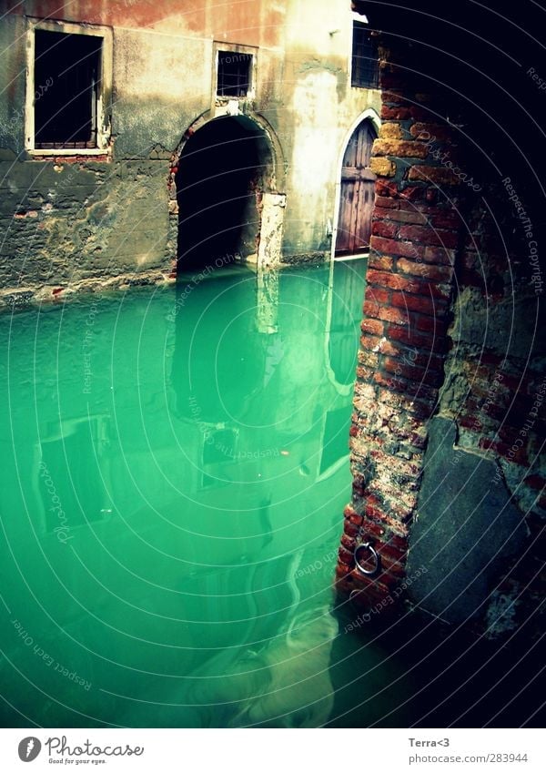 misterioso. Umwelt Wasser Fluss Kanal Lagune trist blau türkis Venedig Canal Grande verfallen Verfall Mauer Reflexion & Spiegelung Tor Gebäude gruselig