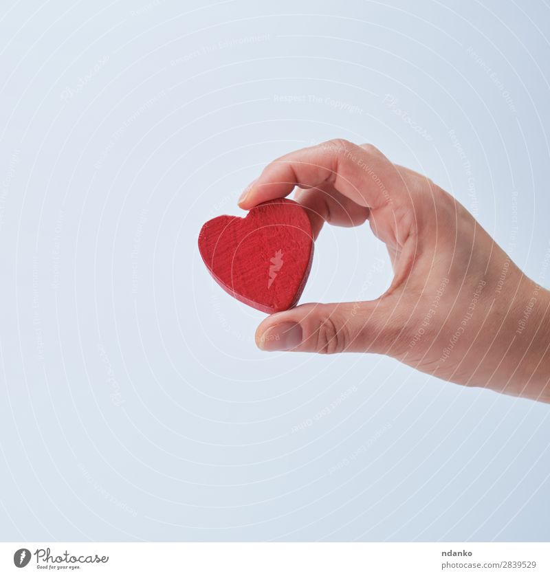 rotes Herz in menschlicher Hand Dekoration & Verzierung Feste & Feiern Valentinstag Hochzeit Frau Erwachsene 1 Mensch 13-18 Jahre Jugendliche Liebe weiß