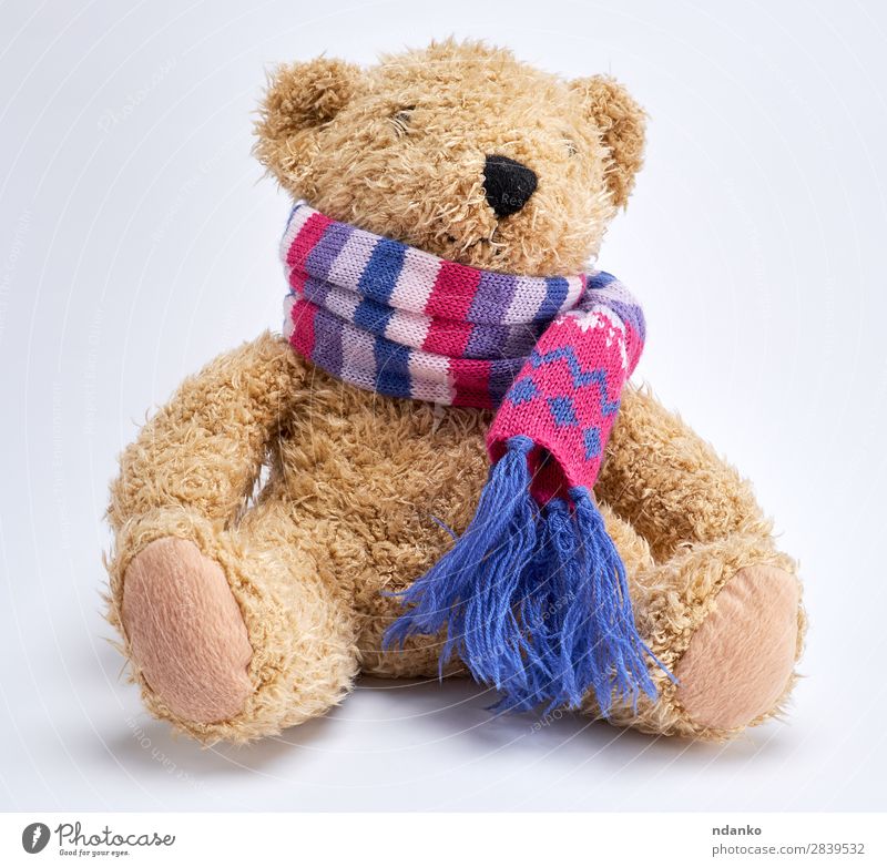 Teddybär in einem gestrickten mehrfarbigen Schal Freude Kind Kindheit Spielzeug Puppe alt sitzen lustig niedlich retro weich braun gelb weiß Einsamkeit Bär