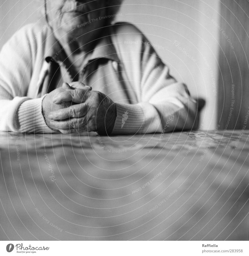 Ruhe feminin Weiblicher Senior Frau Gesicht Arme Hand Finger 1 Mensch 60 und älter Hemd Bluse Strickjacke warten sitzen Hautfalten gefaltet festhalten haltend