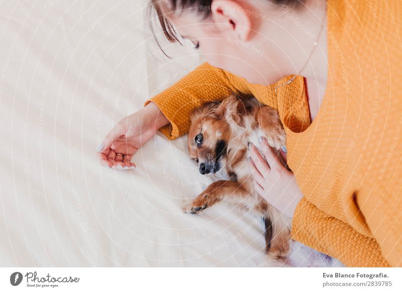 junge Frau und ihr süßer Hund im Bett Lifestyle Freude Glück schön Erholung Schlafzimmer Erwachsene Familie & Verwandtschaft Freundschaft Tier Haustier Küssen