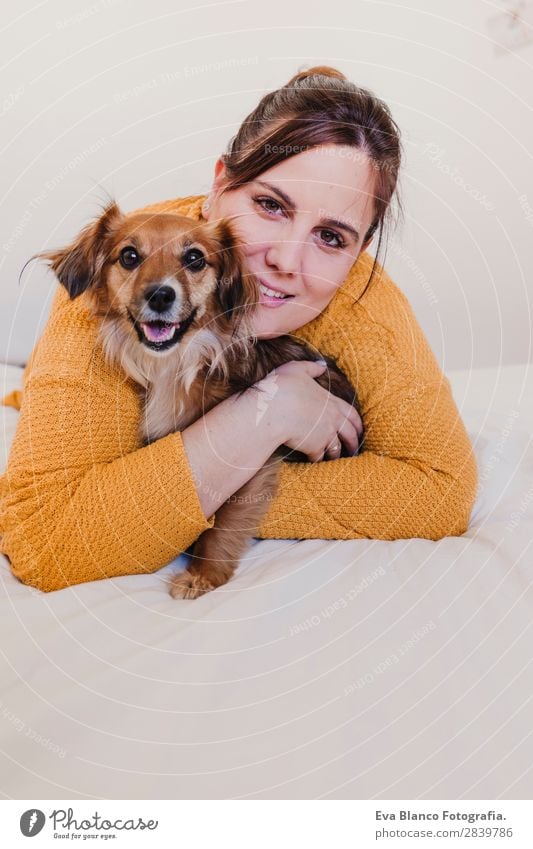 junge Frau und ihr süßer Hund im Bett Lifestyle Freude Glück schön Erholung Schlafzimmer Erwachsene Familie & Verwandtschaft Freundschaft Tier Haustier Küssen