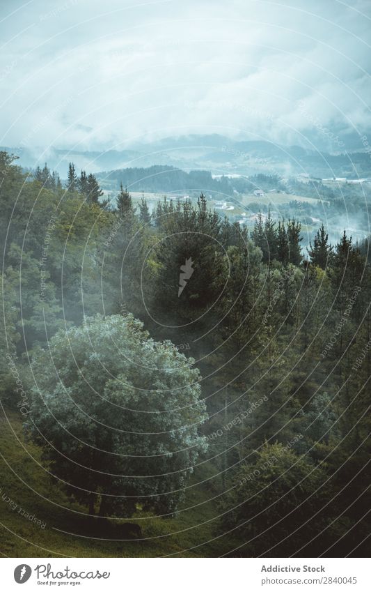 Dunst über malerischer Landschaft mit Wäldern Nebel Wald Berge u. Gebirge Aussicht Panorama (Bildformat) harmonisch atmosphärisch geheimnisvoll Immergrün Tal
