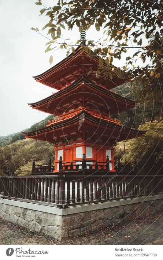 Traditionelle Pagode in der Natur Gebäude asiatisch grün Aussicht rot Pflanze schön natürlich Asien Osten Turm Orientalisch Östlich Jahreszeiten frisch Umwelt