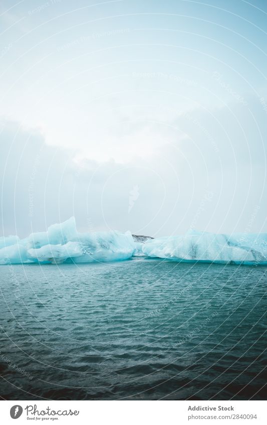 Zwei Eisblöcke im Wasser fliegend Meer blau Natur Eisberg Ferien & Urlaub & Reisen polar kalt Arktis weiß Winter Umwelt Landschaft Klima Schnee Gletscher
