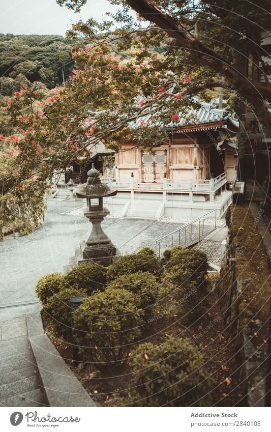 Traditionelles asiatisches Holzhaus Haus Baum geistig Religion & Glaube Pagode heimwärts alt Asien Japaner Architektur altehrwürdig elegant Haushaltsführung