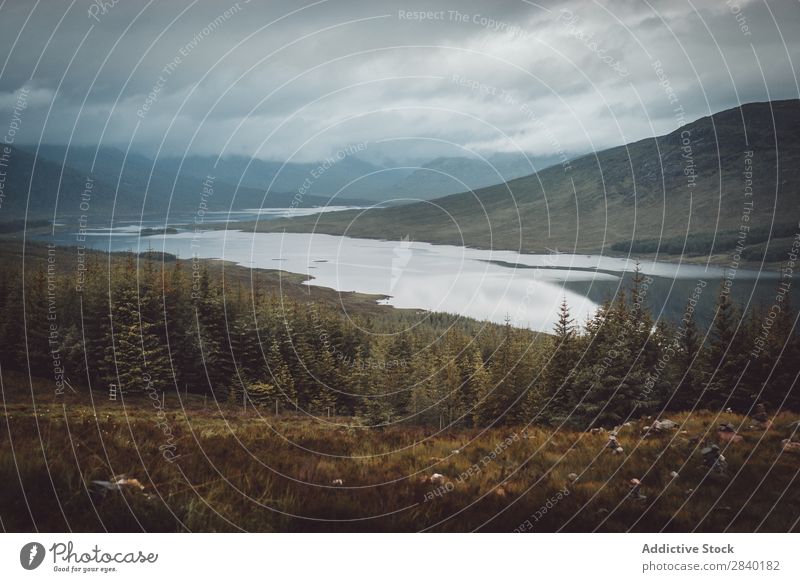 Schottische Landschaft See Schottland Schotten Natur Wasser national Himmel Europa Reflexion & Spiegelung blau Schottisches Hochlandrind