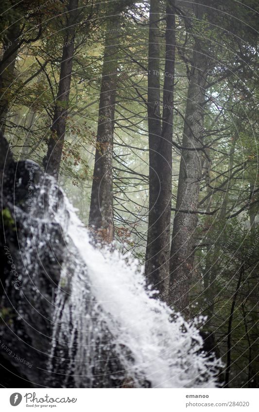 wo das Wasser fällt. Ferien & Urlaub & Reisen Berge u. Gebirge wandern Umwelt Natur Landschaft Pflanze Herbst Klima Regen Baum Bach Fluss Wasserfall Bewegung