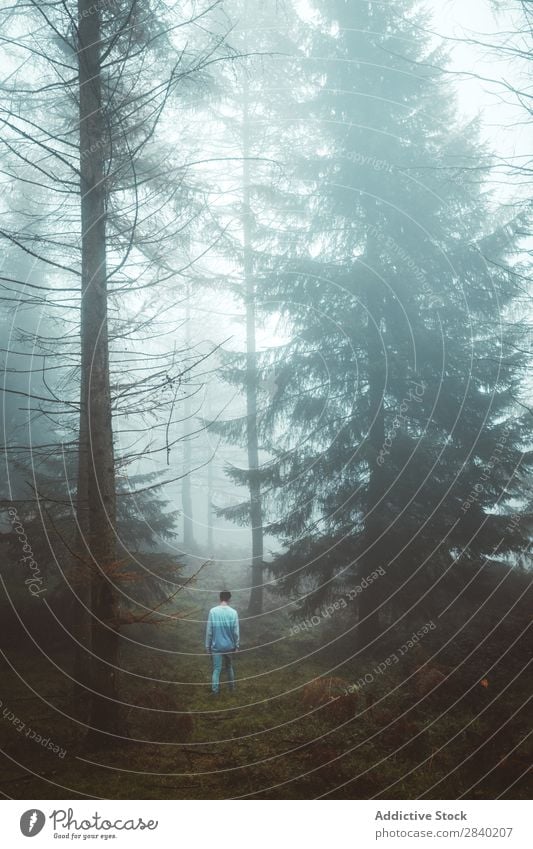 Mann geht durch den nebligen Wald. laufen Nebel Natur Landschaft Herbst Mensch Mysterium Jahreszeiten Angst Einsamkeit spukhaft Aussicht trist Szene wild