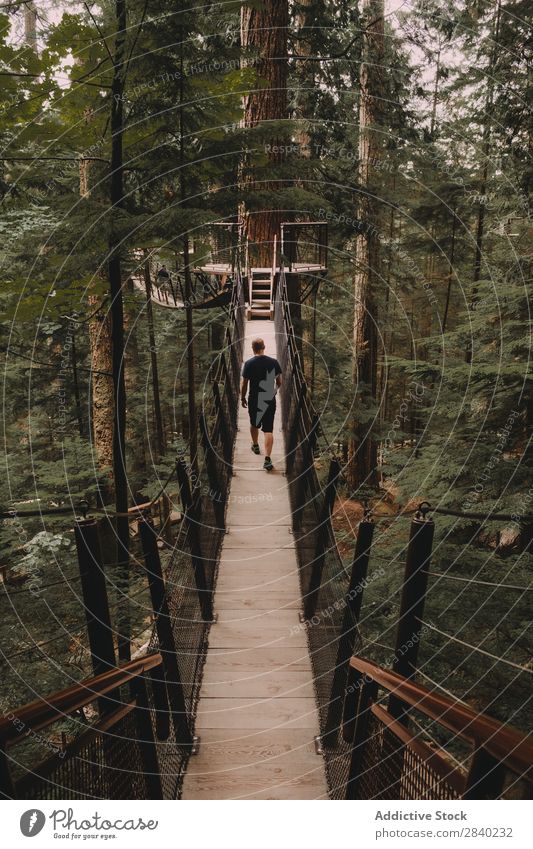 Mann, der auf einer Brücke auf Bäumen geht. erhängen Baum Abenteuer Konstruktion über der Erde Park Suspension grün Sport wandern Natur Wald