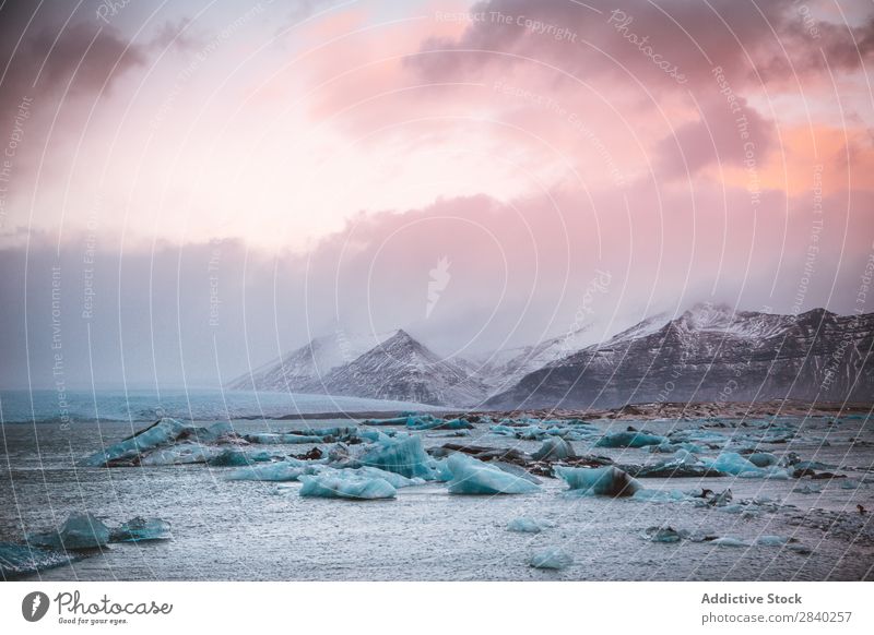Gletscherstücke am Meeresufer Küste Berge u. Gebirge Felsen Landschaft Ferien & Urlaub & Reisen Wildnis Tourismus Arktis Norden Ausflugsziel Eis Klima Wolken