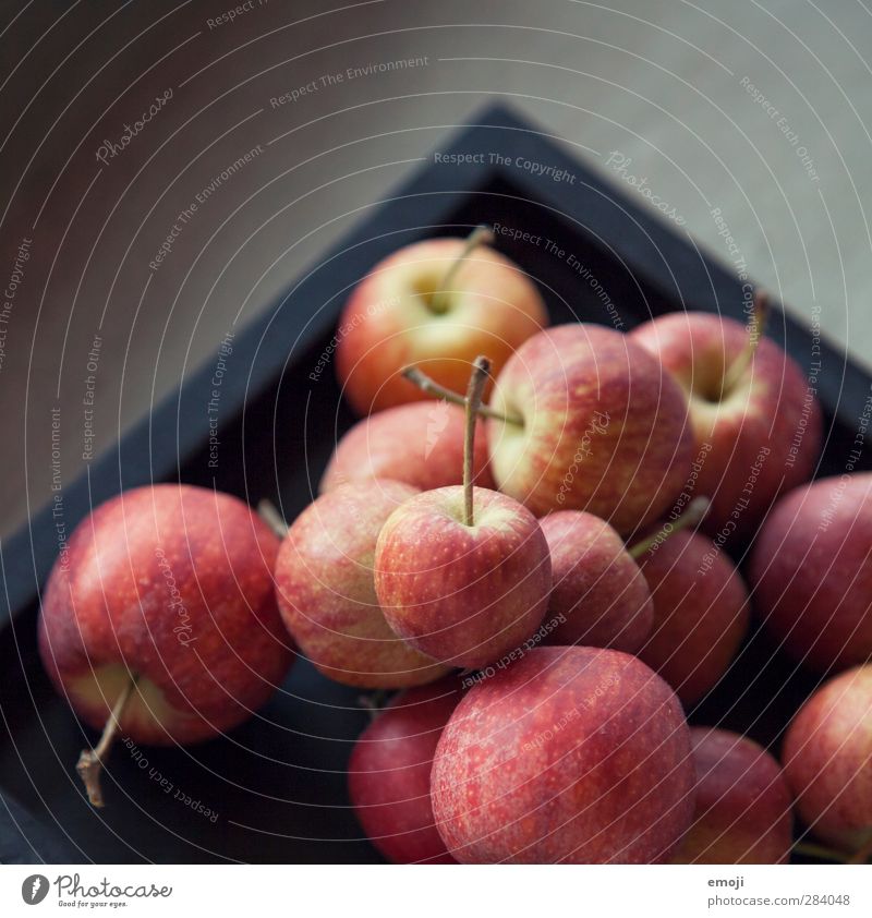 Äpfelchen Frucht Apfel Ernährung Picknick Bioprodukte Vegetarische Ernährung Diät frisch Gesundheit lecker Farbfoto Innenaufnahme Nahaufnahme Detailaufnahme
