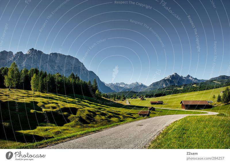 Karwendelgebirge Ferien & Urlaub & Reisen Natur Landschaft Wolkenloser Himmel Sommer Schönes Wetter Wiese Wald Alpen Berge u. Gebirge Ferne natürlich ruhig