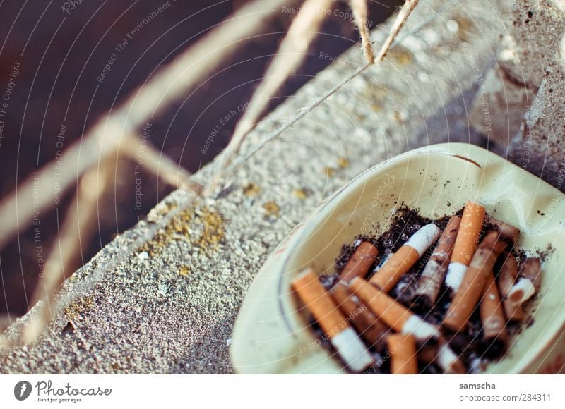 Rauchen am Fenster Gesundheit Ekel Sucht Tabakwaren rauchend Rauchen verboten Zigarette Zigarettenasche Zigarettenstummel Aschenbecher Brandasche ausgedrückt