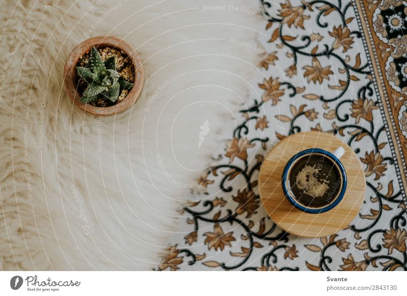 Draufsicht der Espressotasse auf floralem Muster Lifestyle elegant Stil Design Innenarchitektur Dekoration & Verzierung ästhetisch authentisch Berlin Kaktus