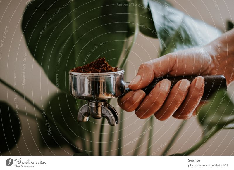 Seitenansicht des handgehaltenen Portafilters Kaffee Lifestyle Hand lecker Pflanze Koffein Halt frisch Farbfoto Innenaufnahme