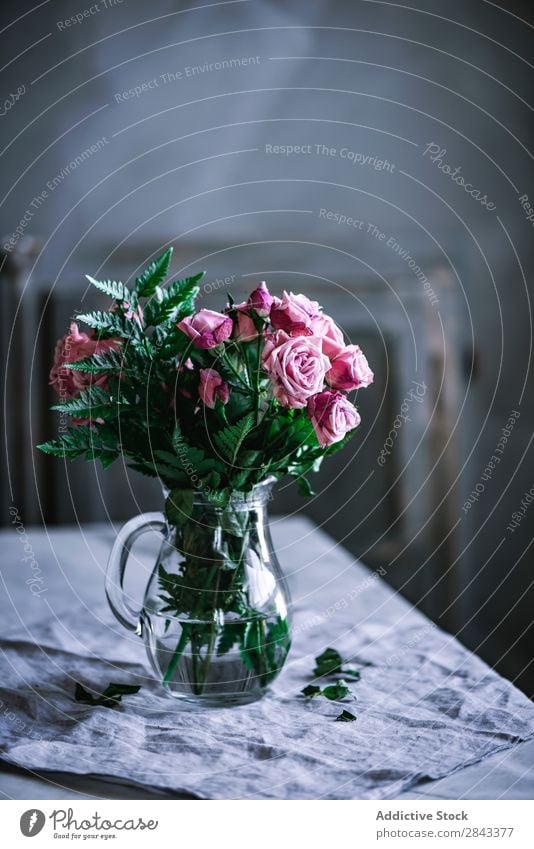 Strauß rosa Rosen auf dem Tisch Blumen Studioaufnahme Kuscheltier Rosas casa decoración en casa jarrón schön Glas Kannen Natur Liebe Beautyfotografie Farbe