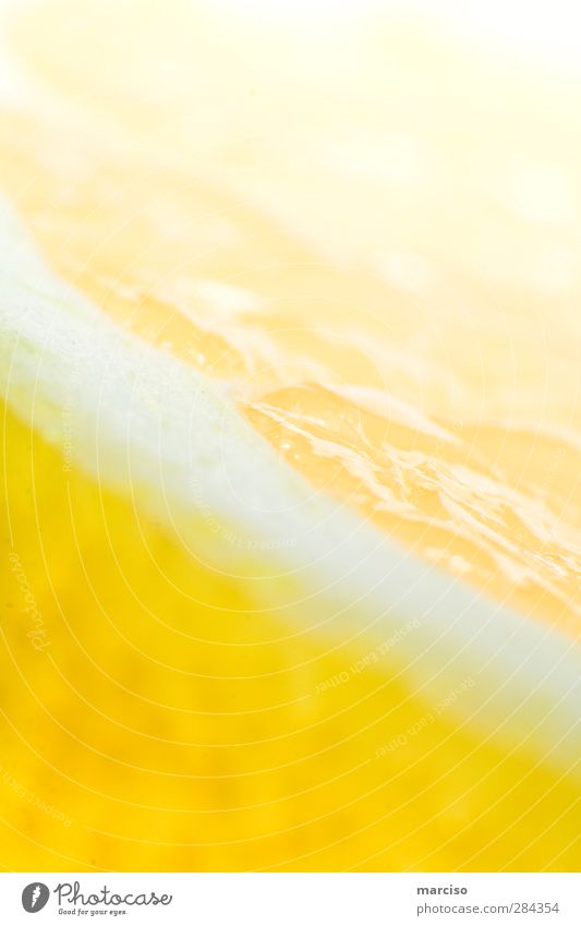 Zitrone Frucht Ernährung Bioprodukte Getränk Heißgetränk Limonade Tequila trinken saftig Sauberkeit gelb Farbfoto Studioaufnahme Makroaufnahme