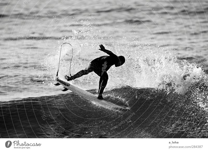 ocean love Lifestyle Freizeit & Hobby Sport Wassersport Surfen Mensch maskulin Mann Erwachsene Leben 1 Natur Urelemente Sommer Wellen Küste Meer Bewegung