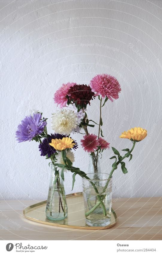 Blümchen Blume Blumenstrauß Pflanze Blüte mehrfarbig Glas Vase Tablett Holz Wand Geburtstag gelb violett rosa grün Menschenleer