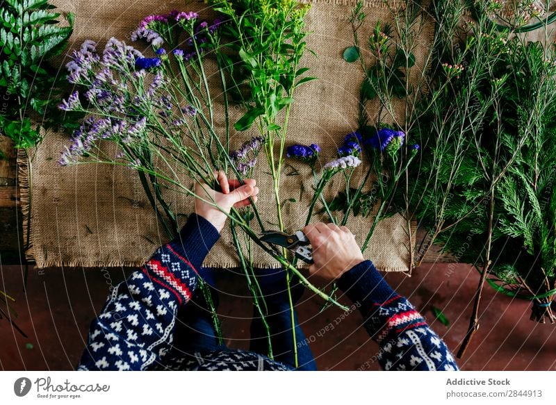 Pflanzenhände schneiden Blumen Hand Schneiden Blumenstrauß schön Natur geblümt Blumenhändler Überstrahlung Zusammensetzung Mensch Haufen Stutzen Leinen Stoff