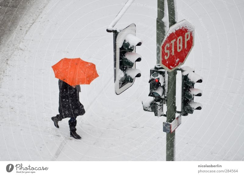Schnee von gestern Winter Mensch 1 Klima Klimawandel Wetter schlechtes Wetter Unwetter Eis Frost Schneefall Fußgänger Straße Ampel Verkehrszeichen